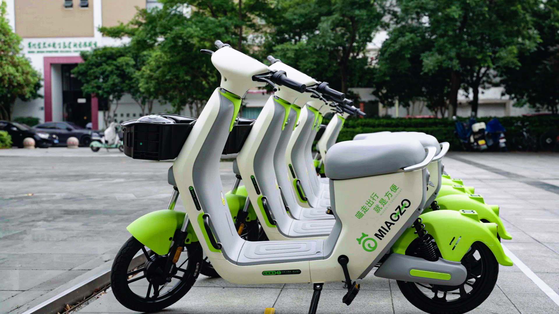 正确停放的共享电单车